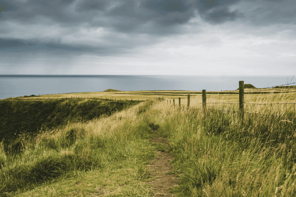 Moving Towards the Storm: Creating Meaning, Mastery, and Resilience Through Our Care​