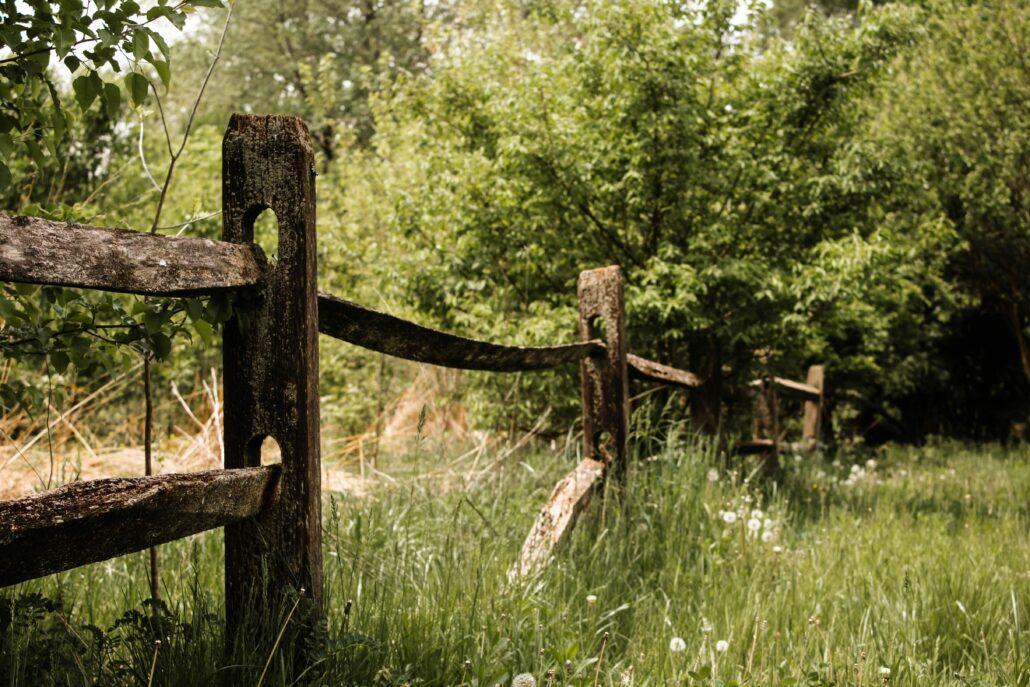 Mending Fences: A Person-Centered Approach to Facilitating Hope and Healing